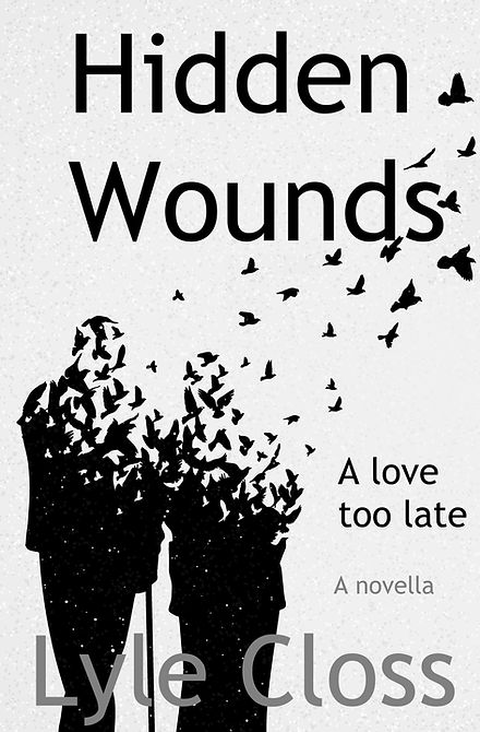 Hidden Wounds paperback cover